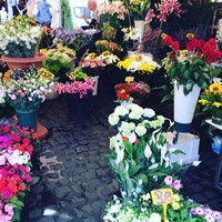 Flower market in Rome.