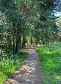 Horsell Common
