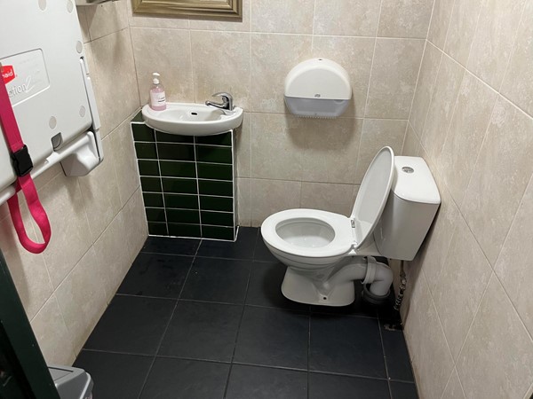 Picture of the accessible toilet