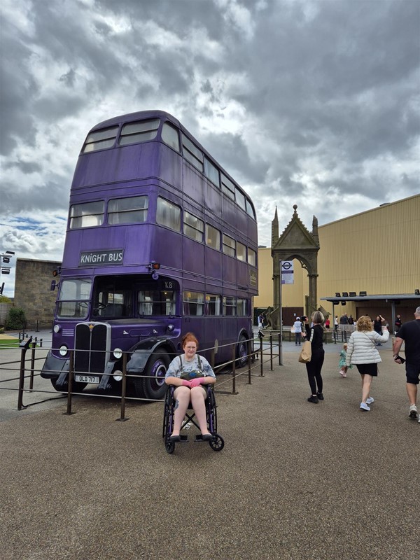 Image of a purple triple decker bus