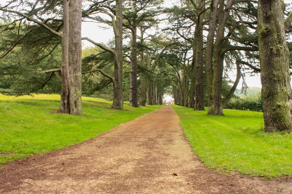 Long wide path going slightly uphill towards the walled gardens.