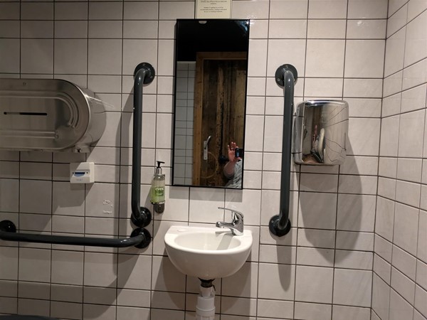 Image of sink in the accessible toilet