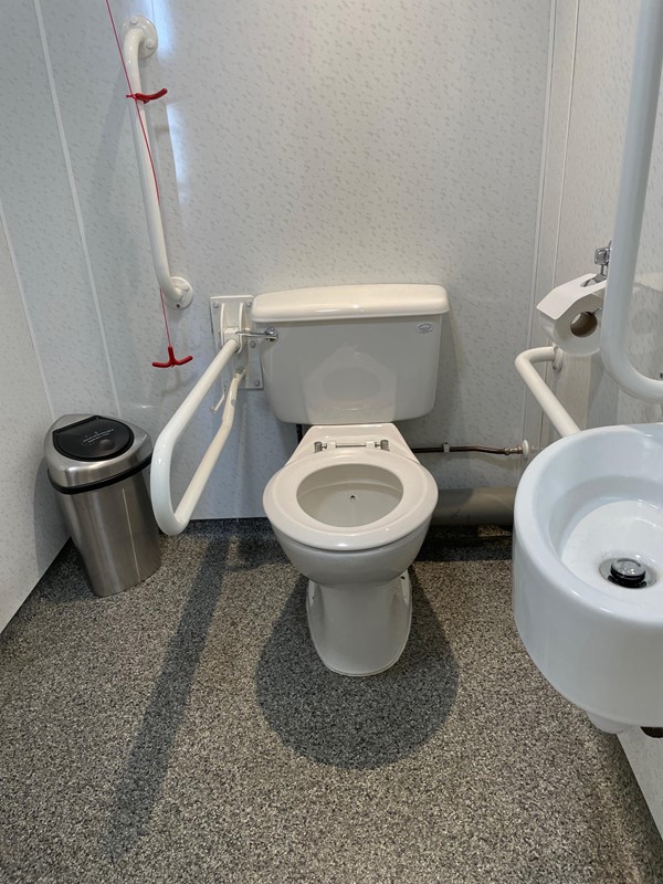 Toilet  with handrails