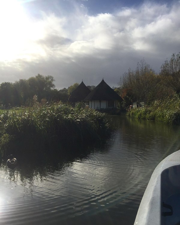 WWT Arundel Wetland Centre, Arundel