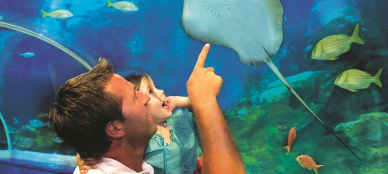 Blue Reef Aquarium