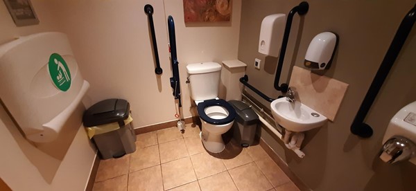 Picture of Queen of the Loch's accessible toilet