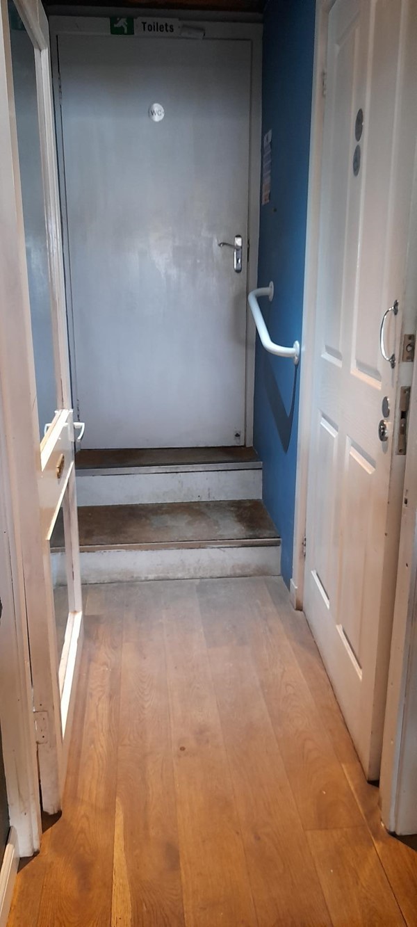 WC door with grab rails