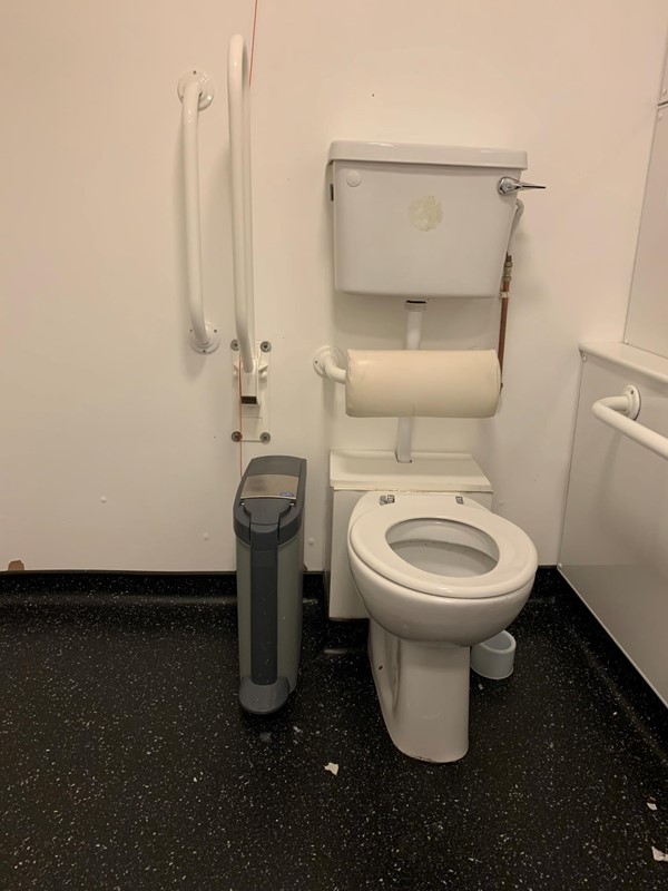 Image of the toilet and handrails on both sides