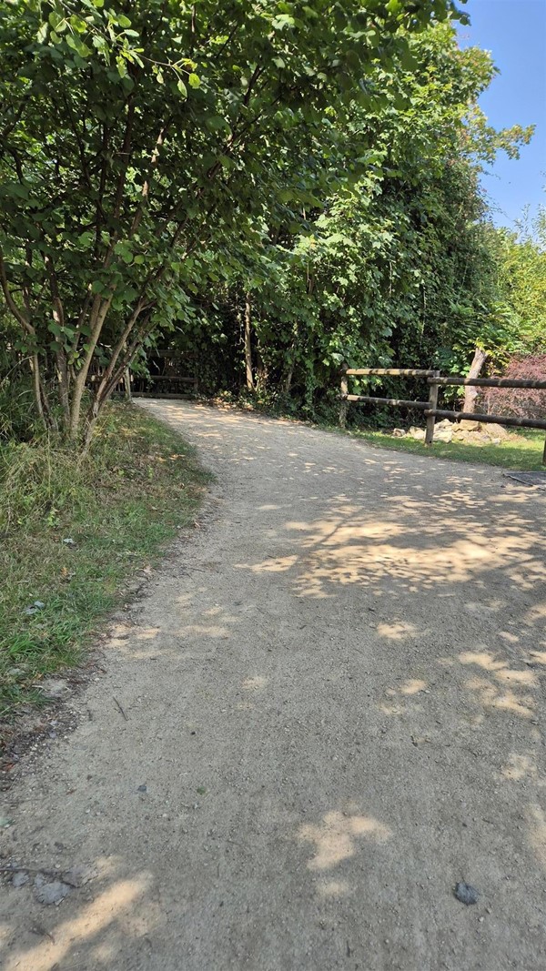 Image of a pathway.