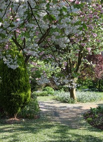 Barnsdale Gardens