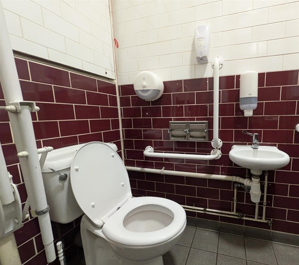 Image of accessible toilet