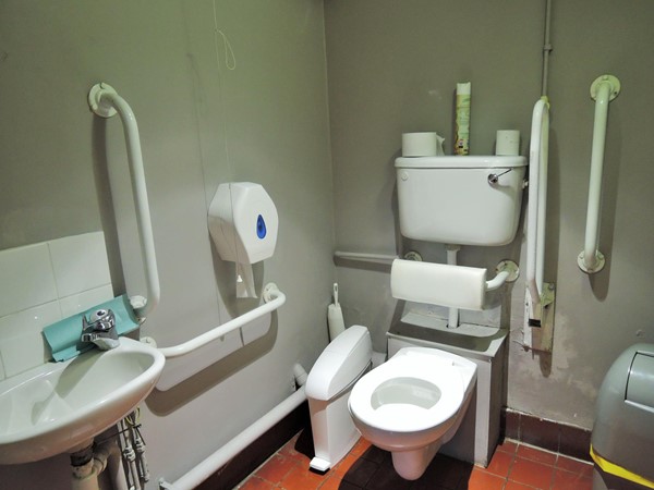 Accessible toilet