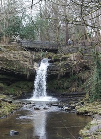 Westquarter Glen and Community Woodland