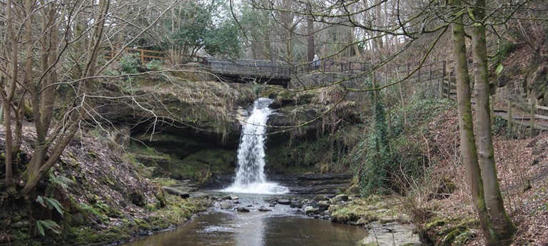 Westquarter Glen and Community Woodland