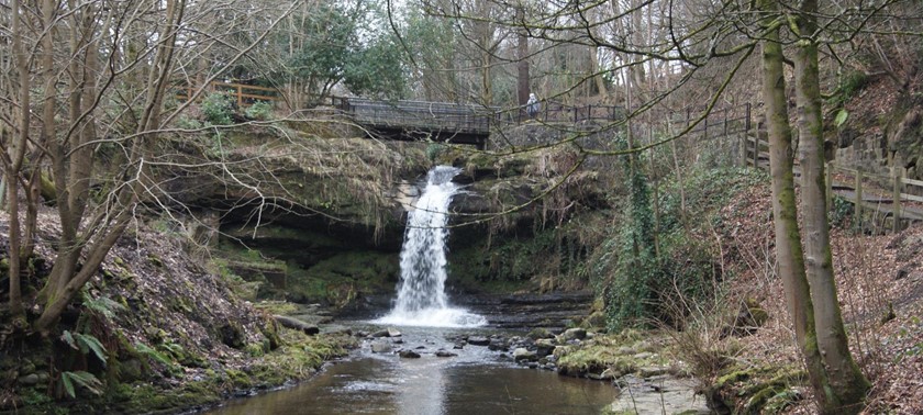 Westquarter Glen and Community Woodland