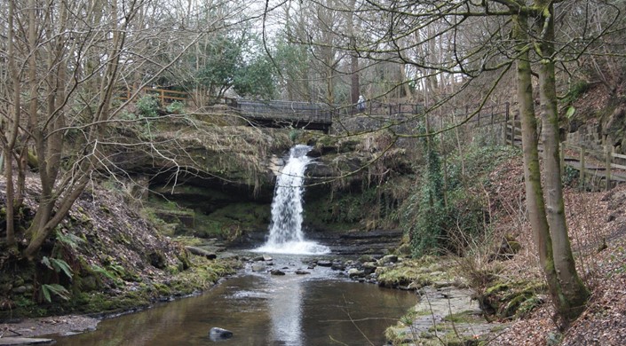 Westquarter Glen and Community Woodland