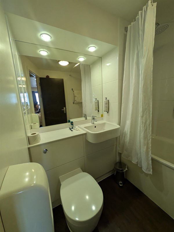 Image of toilet seat