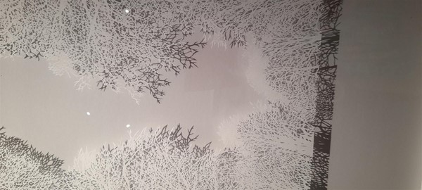 Image of a picture of trees