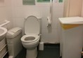 Disable toilet with toilet push button in the middle of the system which is easier to reach