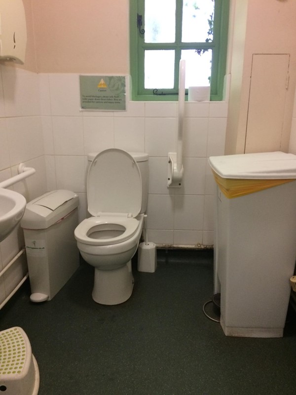 Disable toilet with toilet push button in the middle of the system which is easier to reach