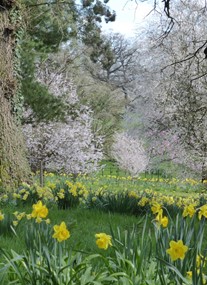 Batsford Arboretum and Garden Centre