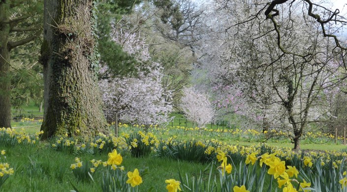 Batsford Arboretum and Garden Centre