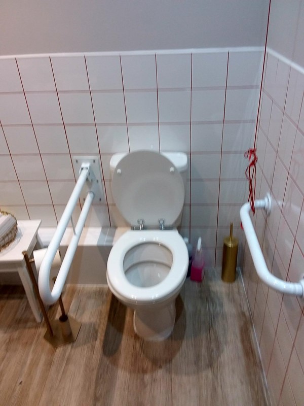 Accessible toilet