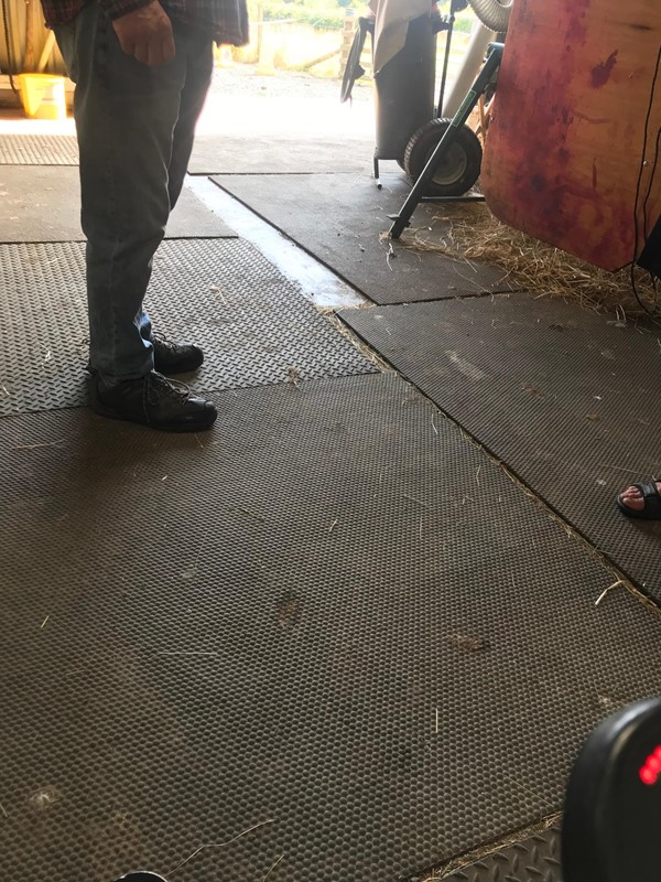 Flooring in side the barn