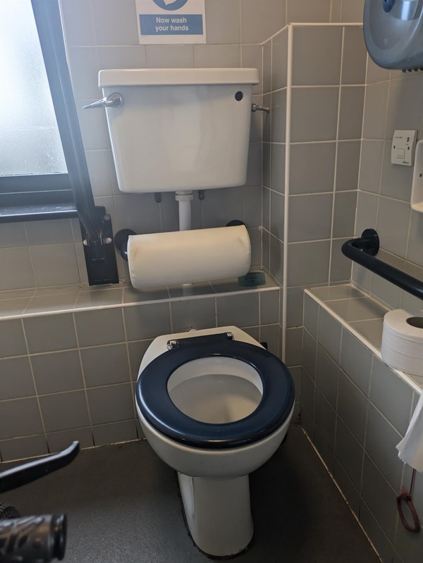 Image of toilet seat in the accessible toilet