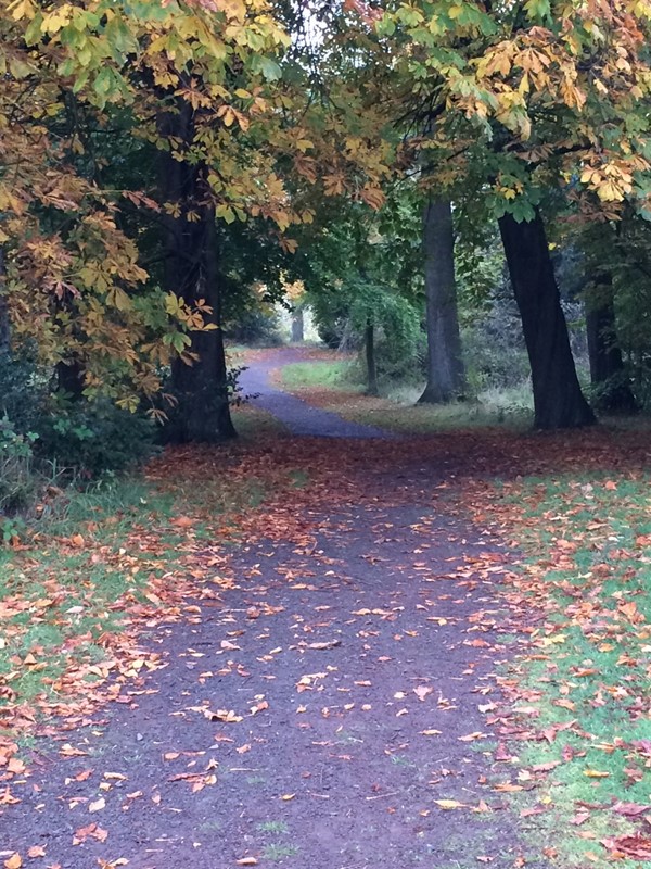 different types of paths in the grounds - lovely autumn colours but the paths can be uneven in places