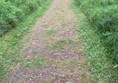 Image of RSPB Reserve Loch Spynie