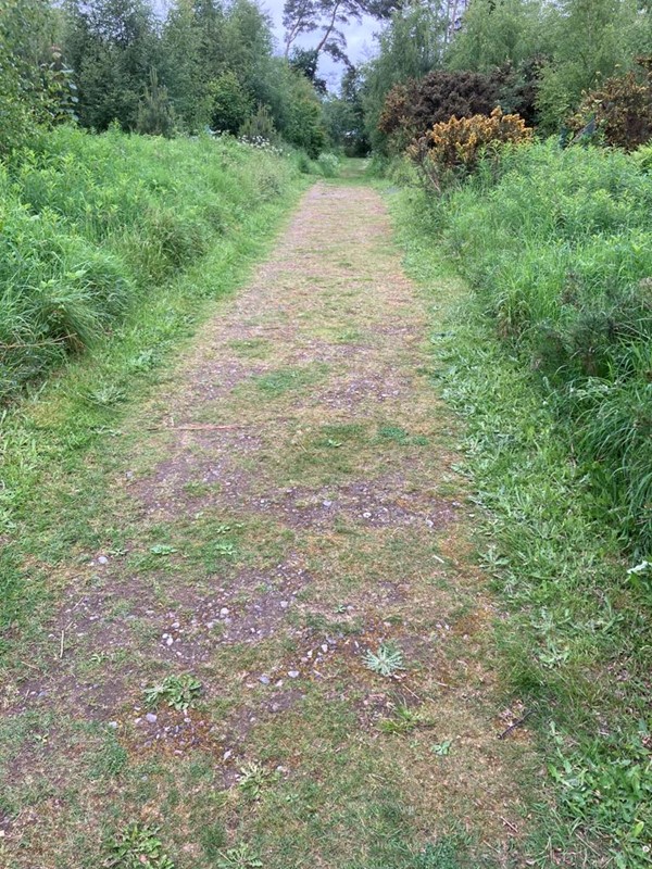 Image of RSPB Reserve Loch Spynie