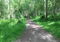Image of part of the walkway around the woods showing a smooth pathway.