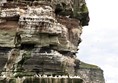Image of cliffs