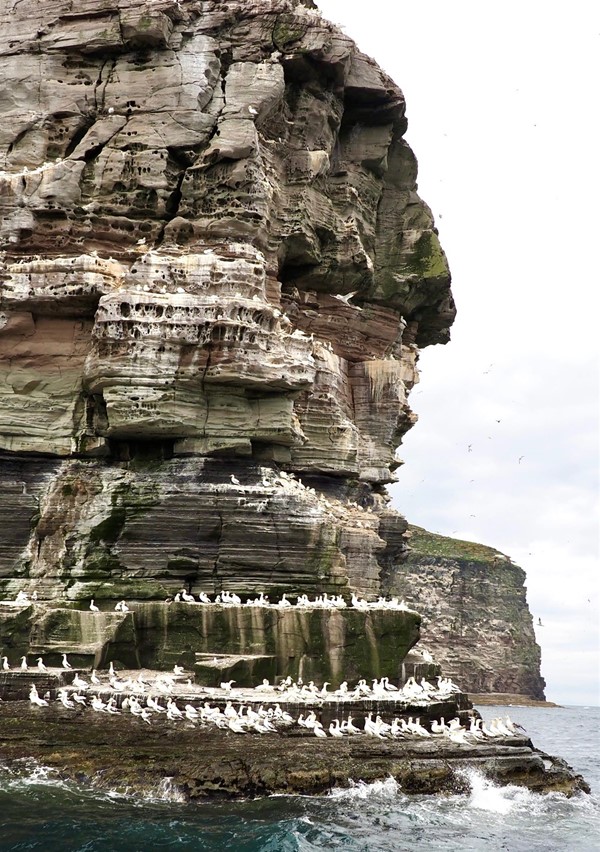 Image of cliffs