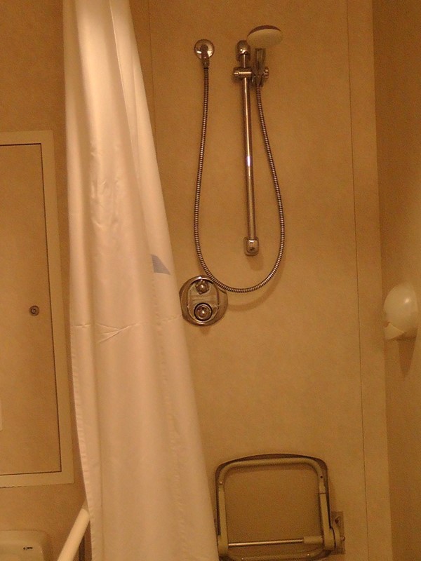 Accessible shower in cabin toilet