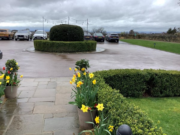Picture of Ellenborough Park