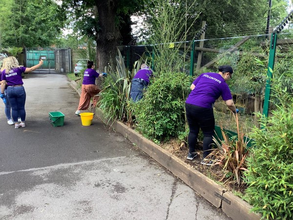 It was nice to see so many volunteers helping with the cleaning of the glass at various sections of the park