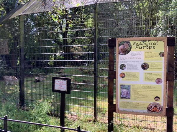 All through the park you will find notice boards that offer insight to the problems faced by animals throughout the world, worth reading as you pass them by
