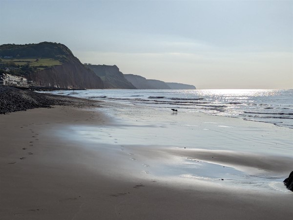 Image of a sandy bay