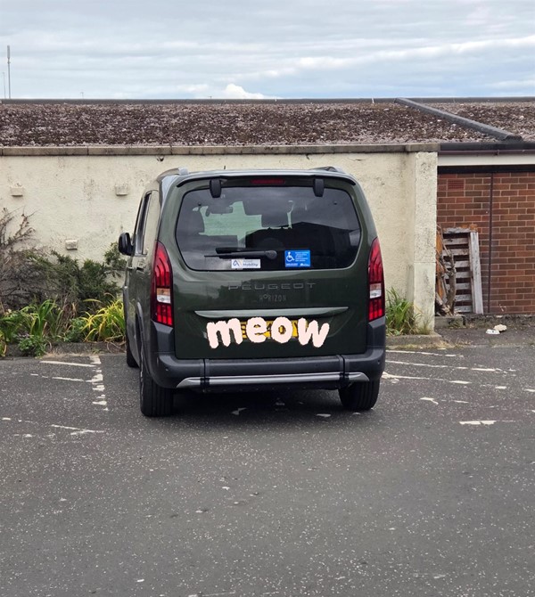 Disabled parking space.