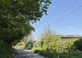 Image of a road a tree and greenery.