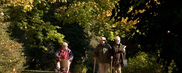 Disabled Access Day at Westonbirt, The National Arboretum article image