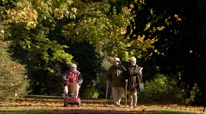 Disabled Access Day at Westonbirt, The National Arboretum
