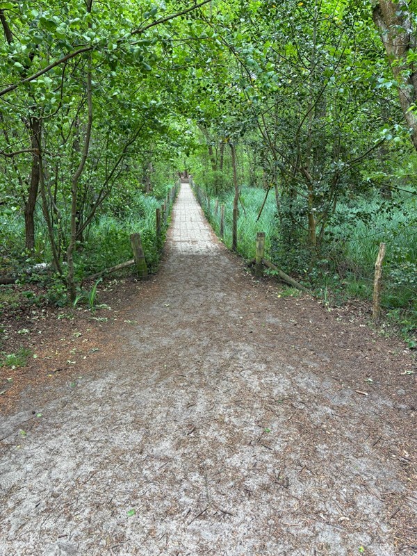 Image of a pathway