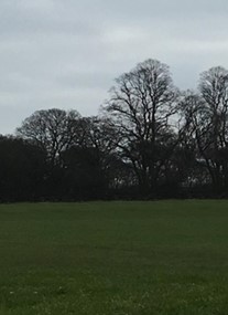 Phoenix Park