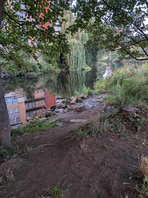 image of riverbank in the park