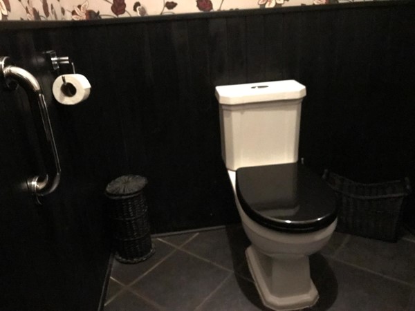 Accesible Toilet