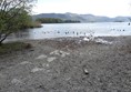 Surface and view over Derwentwater from Portinscale Reserve