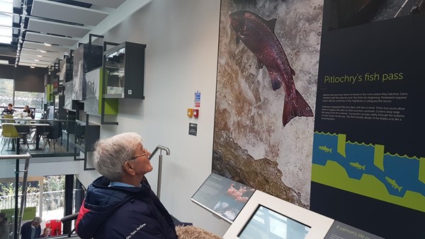 Picture of Pitlochry Dam Visitor Centre